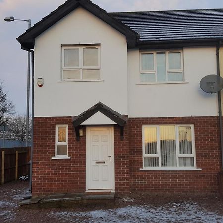 Lawnbrook Town House Otel Belfast Dış mekan fotoğraf
